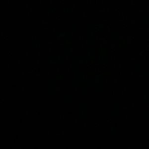 Meet your Posher, Star